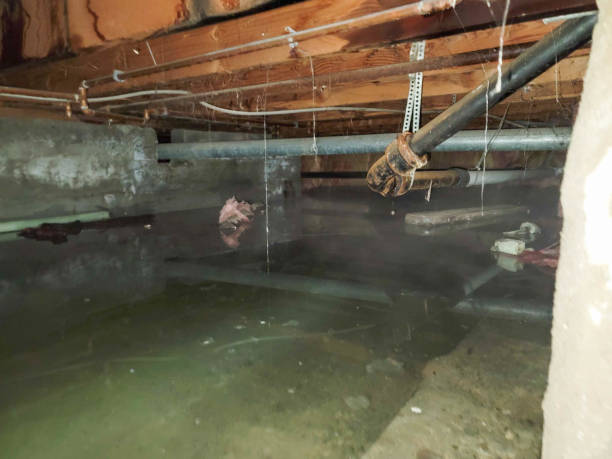 Water damage restoration insurance claims in Cynthiana, KY