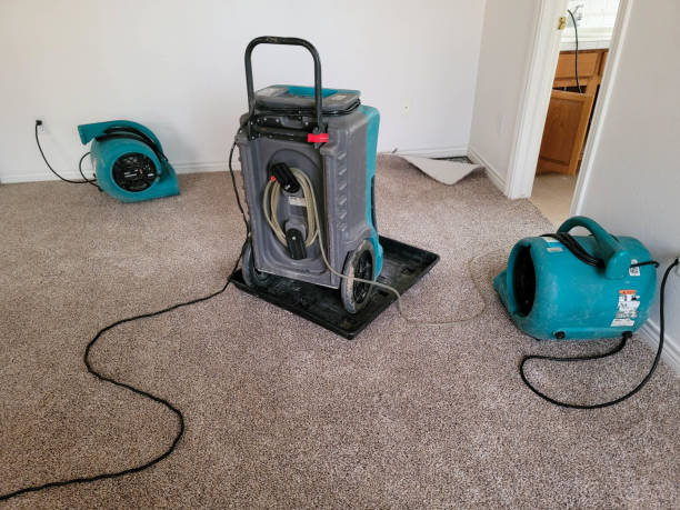 Best Carpet water damage restoration  in Cynthiana, KY