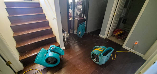 Best Flood restoration services  in Cynthiana, KY