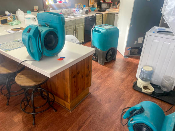 Best Flood damage cleanup  in Cynthiana, KY