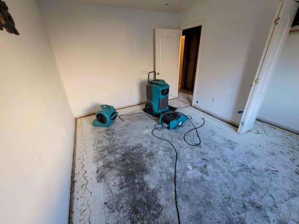 Best Flood restoration services  in Cynthiana, KY