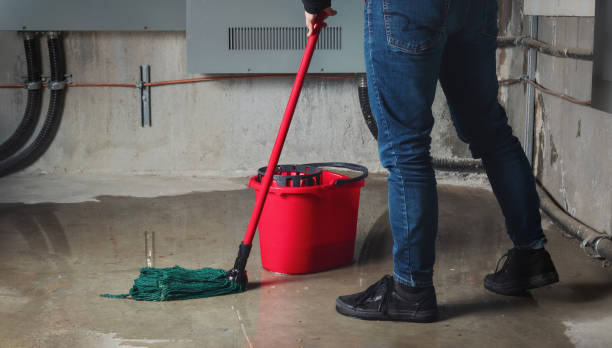 Best Flooded house restoration  in Cynthiana, KY