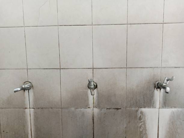 Water damage restoration mold remediation in Cynthiana, KY