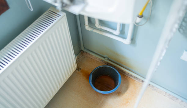 Best Water damage restoration insurance claims  in Cynthiana, KY