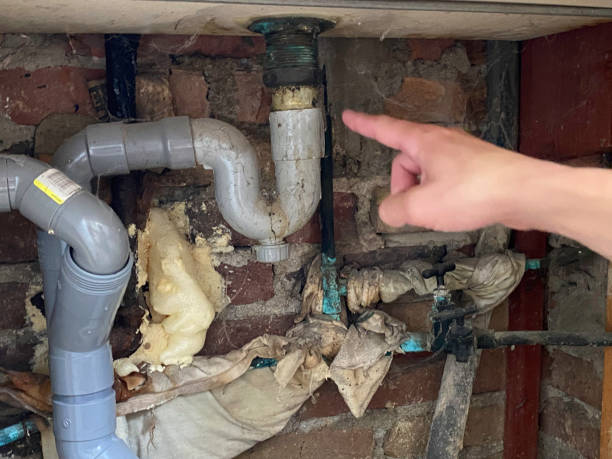 Best Flooded house restoration  in Cynthiana, KY